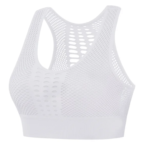 Breathable Mesh Active Push Up Sports Bra Top - WellnessWays Fitness and Wellbeing