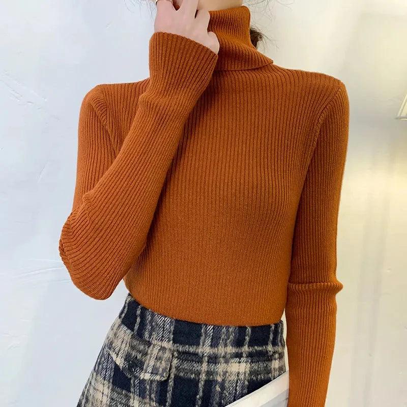 Cozy Cashmere Turtleneck Sweater