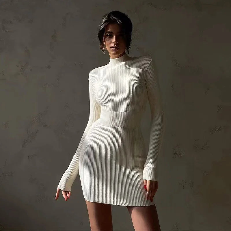 Elegant Autumn Knit Turtleneck Dress