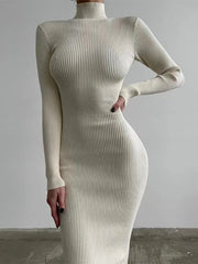 Elegant Autumn Knit Turtleneck Dress