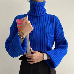 Cozy Knit Turtleneck Sweater