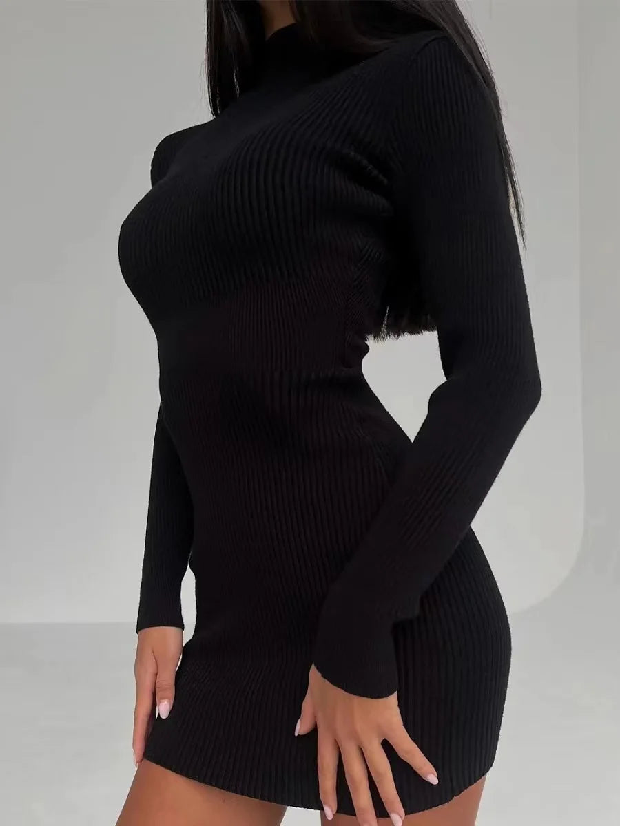 Elegant Autumn Knit Turtleneck Dress