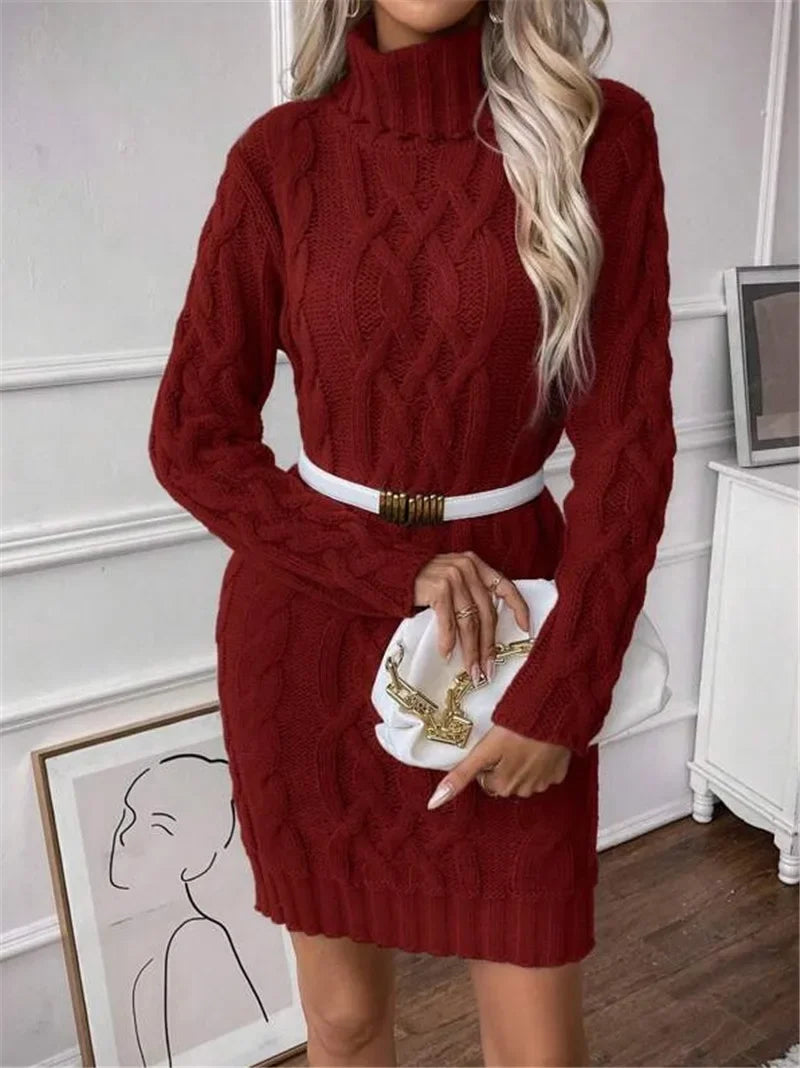 Elegant Knit Turtleneck Dress