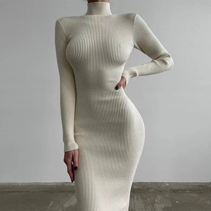 Elegant Autumn Knit Turtleneck Dress