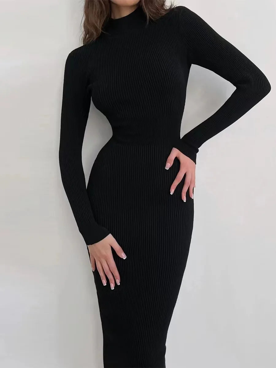 Elegant Autumn Knit Turtleneck Dress