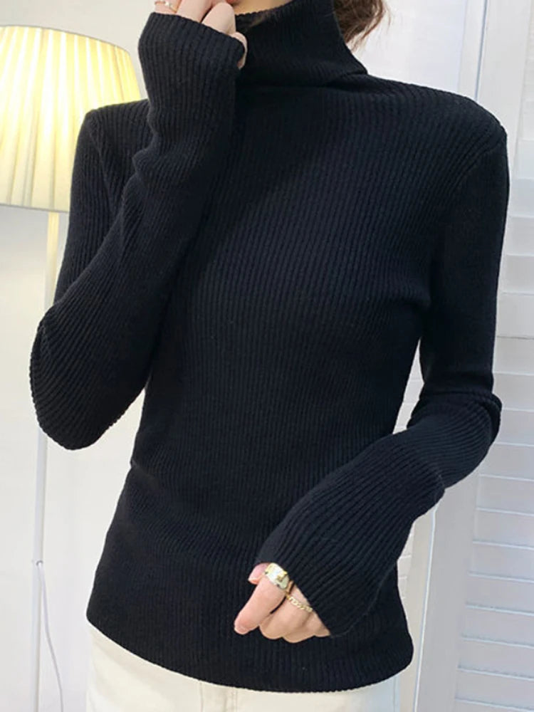 Cozy Cashmere Turtleneck Sweater