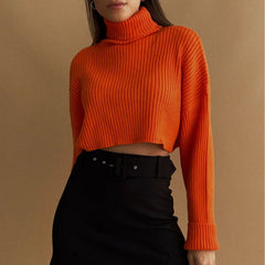 Cozy Knit Turtleneck Sweater