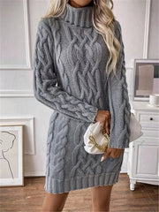 Elegant Knit Turtleneck Dress